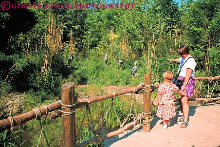 Stock Photo #11814: keywords -  child children cincinnati daughter girl horz jungle mother ohio parent parents people released single trail woman zoo zoos