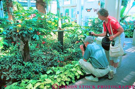 Stock Photo #18995: keywords - activities activity age aged botanical conservatories conservatory couple couples elder elderly elders flowering flowers garden gardens geenhouses grandparents greenhouse hilbert hobbies hobby horz husband in indiana indianapolis leaves leisure mature old people person photo photographer photography photos plant plants recreation river senior seniors white wife