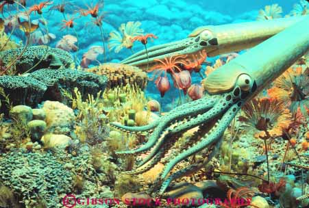 Stock Photo #11334: keywords -  animal animals cephalopod crinoid diorama display displays exhibit exhibits horz life marine milwaukee museum paleozoic prehistoric sea simulate simulated simulates simulation squid wisconsin