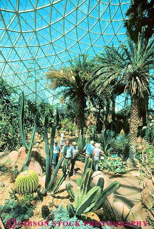 Stock Photo #11345: keywords -  botanical cacti cactus climate control controlled desert dome domes garden gardens geometric geometrical geometry greenhouse greenhouses in indoor inside interior milwaukee mitchell municipal park parks people public skylight skylights vert walking wisconsin