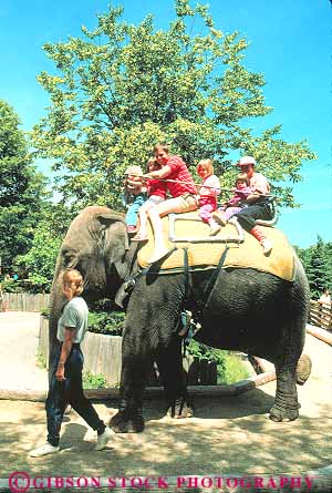 Stock Photo #11348: keywords -  adventure animal captive captivity carry carrying elephant elephants families family mammal milwaukee people ride rider riders riding vert wisconsin zoo zoos