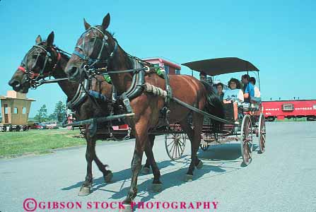 Stock Photo #14217: keywords -  attraction carriage carriages cart carts charter country cultural culture destination drawn dutch familiy heritage horse horses horz pennsylvania ride rider riders rides riding strasburg street tour tourist tourists tours travel traveler trip trips wagon wagons