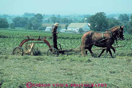Stock Photo #14219: keywords - agriculture amish attraction country cultural culture destination drawn dutch farm farmer farming farms fashioned field fields heritage horse horz man old pennsylvania plow plowing plows soil strasburg tourist tradition traditional travel traveler work worker working works