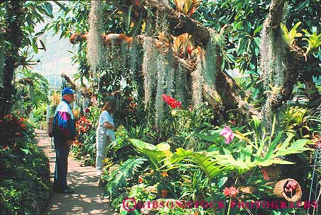 Stock Photo #11222: keywords -  botanical conservatories conservatory couple garden gardens glass greenhouse greenhouses horz house inside pennsylvania people phipps pittsburgh plant plants tour touring tropical walk walking