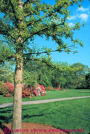 Stock Photo #11194: keywords -  azalea blossom blossoming fairmont fairmount flower flowering garden gardens in leisure municipal park parks pennsylvania people philadelphia pink public red relax relaxing season spring summer vert