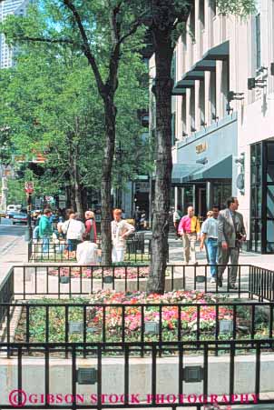 Stock Photo #8970: keywords -  avenue beds business chicago destination district flower illinois magnificent michigan mile people retail shop shopper shoppers shopping shops store stores street streetscape summer tourist tourists travel traveler travelers vert