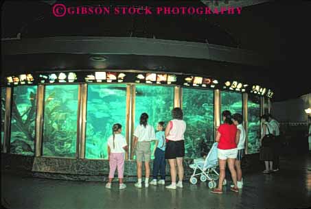 Stock Photo #8978: keywords -  aquarium aquariums attraction chicago display fish horz illinois people public shedd tank tourist water