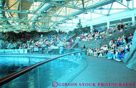 Stock Photo #8980: keywords -  aquarium aquariums chicago horz illinois mammal mammals marine ocean oceanarium performing public sea tank