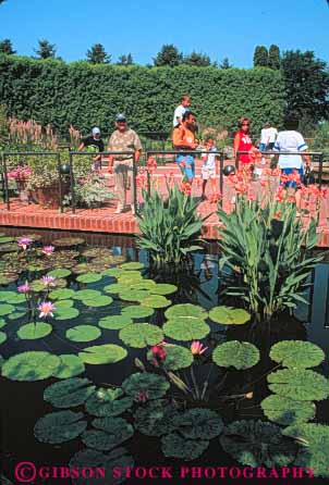 Stock Photo #8997: keywords -  attraction blossom blossoming blossoms botanic botanical chicago color colorful colors flower flowering flowers garden gardens glencoe heritage illinois landscape landscaping people pond ponds public recreation season spring summer tourist vert