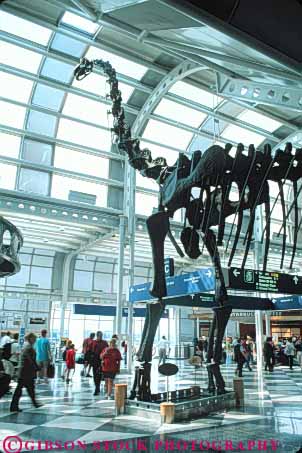Stock Photo #9011: keywords -  airport art bracheosaurus chicago concourse concourses different dinosaur dinosaurs display exhibit fossil fossils high illinois interior ohare public skeleton skeletons tall unusual urban vert