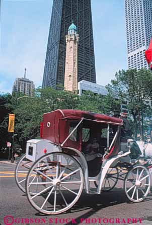 Stock Photo #9017: keywords -  carriage carriages chicago downtown horse illinois street streets tour tours tower tradition traditional urban vert water