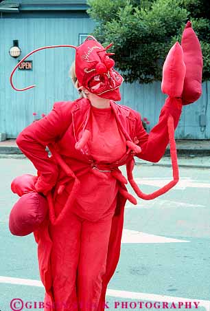Stock Photo #14291: keywords -  advertise advertisement advertising animal animals coast coastal costume costumes cute different england fun funny kennebunkport lobster maine new red region shore shoreline strange vert wearing woman women