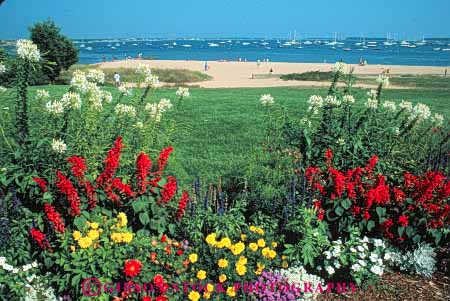 Stock Photo #9204: keywords -  and attraction beach beaches cape cod colorful destination england flower flowers garden gardens horz hyannis landscape massachusetts new plant plants resort resorts scenery scenic summer tourist travel vacation