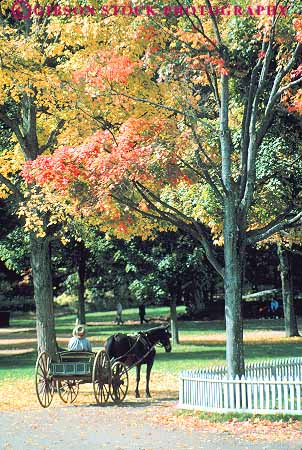 Stock Photo #14351: keywords -  architecture autumn building buildings carriage carriages color drawn england fall farm farms foliage historic history horse living massachusetts museum museums new old region season sturbridge vert village villages vintage