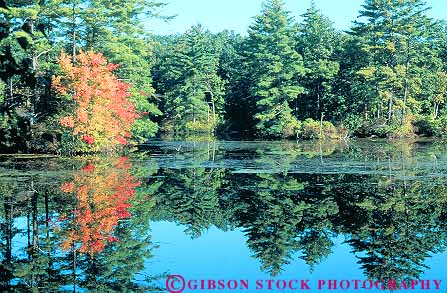 Stock Photo #14354: keywords -  autumn calm color england fall flat foliage forest green historic history horz lake lakes landscape living maple massachusetts mirror museum museums natural nature new old orange peaceful pine pond ponds quiet quinebaug reflect reflecting reflection reflects region river rivers scenery scenic season serene still sturbridge tree trees village villages vintage