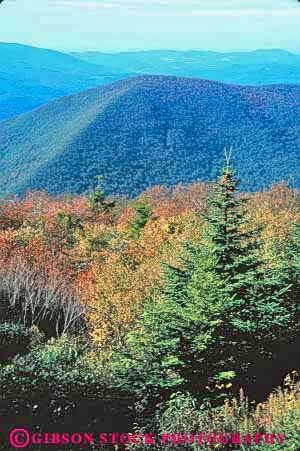 Stock Photo #9236: keywords -  adams berkshire deciduous elevate elevated england environment evergreen foliage forest forests greylock habitat hill hills landscape leaf leaves massachusetts mountains mt nature new north pine plant plants scenery scenic season terrain tree trees vert