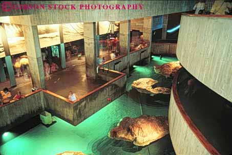 Stock Photo #9775: keywords -  activities activity aquarium aquariums boston cities city display displays england exhibit exhibits horz interior learn learning massachusetts museums new public recreation urban