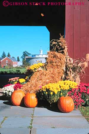 Stock Photo #9213: keywords -  architecture autumn berkshires building buildings display fall hancock harvest massachusetts pittsfield pumpkin pumpkins season shaker tradition traditional vert village villages