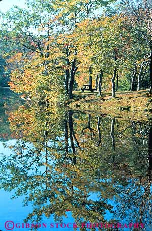Stock Photo #14374: keywords -  autumn berkshire berkshires berry calm color destination ecology fall flat foliage forest hill hills lake lakes landscape massachusetts mirror mirrors nature oak pittsfield pond ponds quiet reflect reflecting reflection reflects scenery scenic season serene travel tree trees vacation vert water