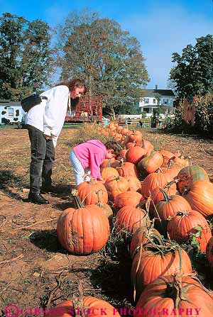 Stock Photo #14384: keywords -  berkshire berkshires cheshire child daughter destination fun girl hill hills massachusetts mother parent picking play playing pumpkin pumpkins single travel vacation vert
