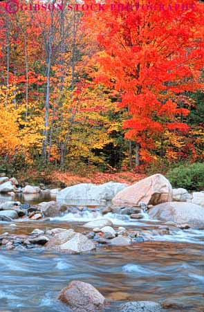 Stock Photo #9299: keywords -  autumn blur color colorful countryside england fall flow flowing flows foliage forest hampshire highway kangamagus landscape leaf leaves maple motion move movement moving near new rapid rapids river rivers rural scenery scenic season stream swift tree trees vert water