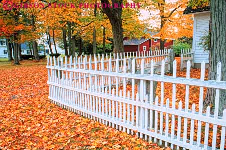 Stock Photo #9304: keywords -  autumn color colorful countryside england fall fence fences foliage forest hampshire home homes horz landscape leaf leaves maple new orford pattern residential rural scenery scenic season town towns tree trees