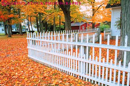 Stock Photo #9304: keywords - autumn color colorful countryside england fall fence fences foliage forest hampshire home homes horz landscape leaf leaves maple new orford pattern residential rural scenery scenic season town towns tree trees