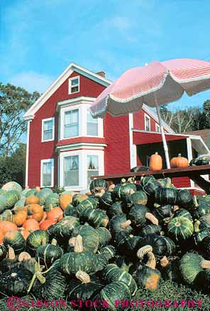 Stock Photo #14433: keywords -  autumn color crop cute decorate decorated decoration england fall farm foliage hampshire house new produce region season sell selling sells squash stand vert