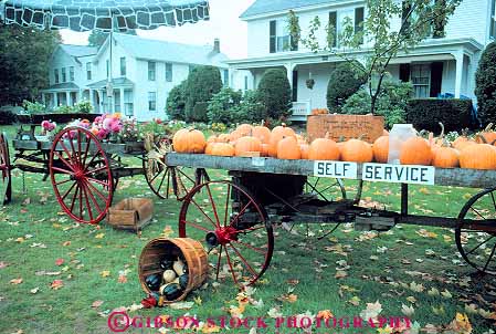 Stock Photo #14434: keywords - autumn color cute decorate decorated decoration england fall farm foliage halloween hampshire horz house new produce pumpkin pumpkins region sales season self service squash wagon wagons