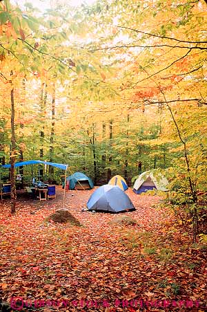 Stock Photo #14456: keywords - along autumn camp campers campground campgrounds camping camps color england fall foliage hampshire hancock highway hwy in kancamagus landscape maple mountains natural nature new orange region route routes scenery scenic season tent tents vert white