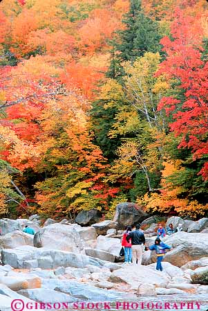 Stock Photo #14459: keywords - along autumn color colorful england fall falls families family foliage hampshire highway hike hiker hikers hiking hwy kancamagus landscape lower mountains natural nature near new people recreation region river route routes scenery scenic season swift tourist tourists vert walking walks white