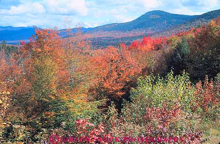 Stock Photo #14462: keywords -  above along autumn color elevate elevated england fall foliage forest forests hampshire highway horz hwy kancamagus landscape mountains natural nature new overhead overview region route routes scenery scenic season tree trees white