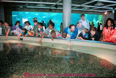 Stock Photo #14543: keywords - aquarium aquariums attraction boy boys camden child children ethnic ethnicity girl girls horz jersey minorities minority mix mixed new people public race racial state tank touch touches touching tourist travelers