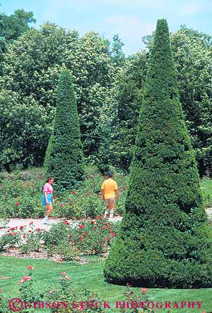 Stock Photo #12334: keywords -  botanical center couple evergreen garden gardens man oklahoma plant plants summer through topeary tree tulsa vert walk walker walkers walking woman