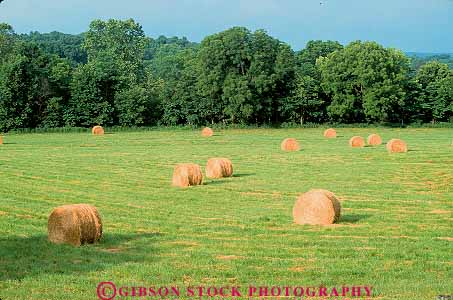 Stock Photo #14559: keywords -  agriculture alfalfa bale bales farm farming field harvest harvesting hay horz landscape landscapes natural nature oklahoma plains region rolled round scenery scenic