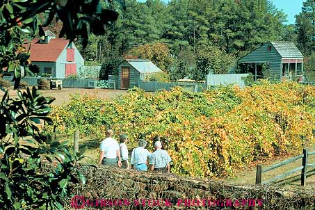 Stock Photo #14573: keywords - botanical callaway garden gardening gardens georgia horticulture horz people plant plants vine vines vineyard vineyards