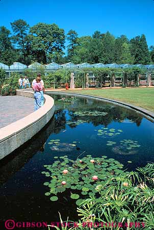 Stock Photo #11662: keywords - atlanta botanical city garden gardens georgia landscape landscaping people pond ponds pool pools south southern tour touring tourists urban vert walk