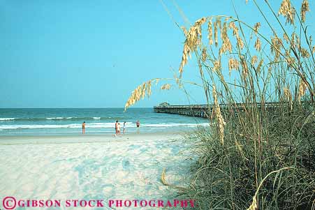Stock Photo #14676: keywords - and atlantic beach beaches carolina coast coastal destination grand horz hot leisure myrtle oat oats ocean people plant plants recreation resort resorts sand sea shore shoreline south strand sunny sunshine surf travel vacation warm water wave waves