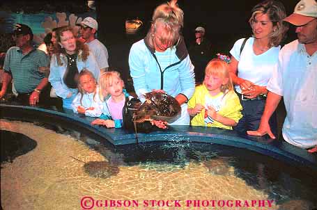 Stock Photo #14686: keywords -  aquarium aquariums beach carolina child children coast coastal crab destination display displaying displays girl girls grand handle handles handling horseshoe horz indoor indoors interior leisure life marine modern mother myrtle new parent parents people play playing public recreation resort resorts ripleys sea shore shoreline show showing shows south strand touch touches touching travel vacation youth