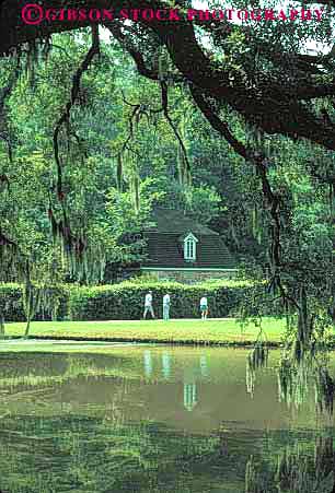 Stock Photo #9619: keywords -  carolina charleston estate estates historic mansion mansions middleton people place plantation plantations south vert