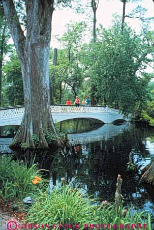 Stock Photo #9624: keywords -  bayou bayous bridge bridges carolina charleston cypress estate estates garden gardens historic landscape landscaping magnolia mansion mansions march marshes over people plantation plantations site south swamp swamps vert wetland wetlands