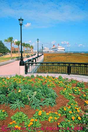 Stock Photo #9639: keywords - carolina charleston city garden gardens landscape landscaping municipal palm park parks public south tree trees vert waterfront