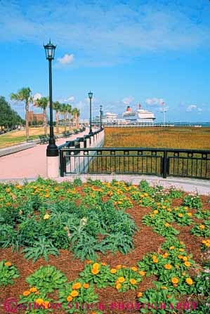 Stock Photo #9639: keywords -  carolina charleston city garden gardens landscape landscaping municipal palm park parks public south tree trees vert waterfront