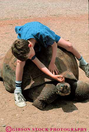 Stock Photo #14752: keywords - abuse abusing abusive animal animals attraction back bird boy city dakota enclosure garden gardens giant rapid reptile ride rider rides riding south tortoise tortoises tourist tourists tours turtle turtles vert