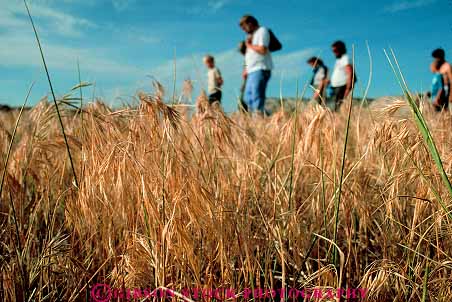 Stock Photo #14788: keywords - badlands dakota eroded erodes eroding erosion formations grass grassland grasslands group groups hike hiker hikers hiking horz national park parks prairie public recreation sedimentary south walk walker walking walks