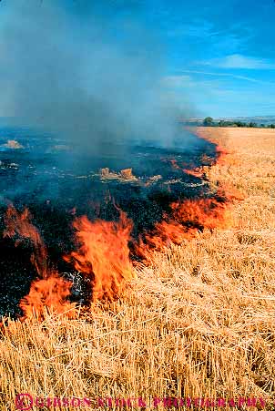Stock Photo #14813: keywords - ag agriculture air burn burning control controlled crop crops cultivate cultivated cultivation drying farm field fields fire fires flame flames fry gold golden grain grains ground harvested hill idaho in mountain pollution region rocky smoke state stem stems stubble vert wheat