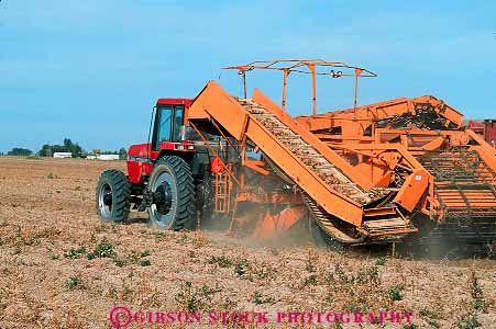 Stock Photo #14817: keywords - agriculture conveyor crop crops cultivate cultivated cultivation equipment farm farming farms field fields harvest harvested harvester harvesting harvests heavy horz idaho in machine machinery mountain potato potatoes produce region rocky state stem stems tuber tubers