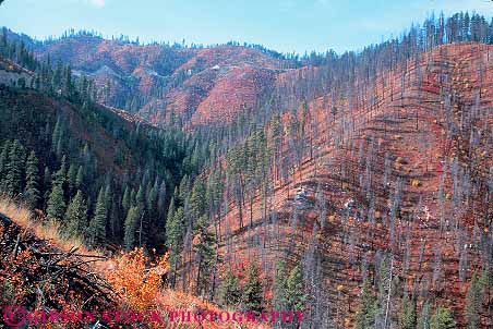 Stock Photo #14826: keywords -  burn burned burning burns devastate devastated devastation disaster disasters ecological ecology environment environmental fire forest forests horz idaho impact impacted impacts landscape lawman management mountain mountains region resource resources rocky scar scared scars scenery scenic side slope slopes state steep
