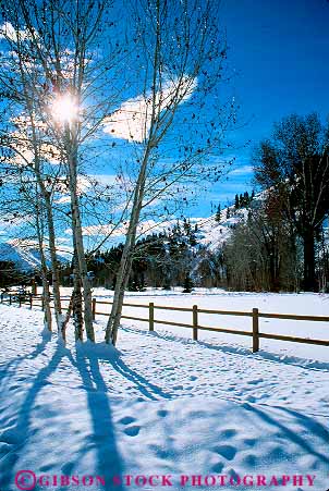 Stock Photo #14828: keywords -  aspen cold fence freeze freezing frozen idaho landscape mountain mountains region rocky scenery scenic season silhouette snow snowy state sun sunny sunshine tree trees valley vert white winter