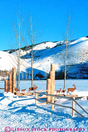 Stock Photo #14880: keywords -  communities community decoration destination driveway entrance entries entry gate gates idaho landscape mountain mountains post posts ranch ranches recreation region resort resorts rocky scenery scenic ski snow sun travel vacation valley vert winter wood